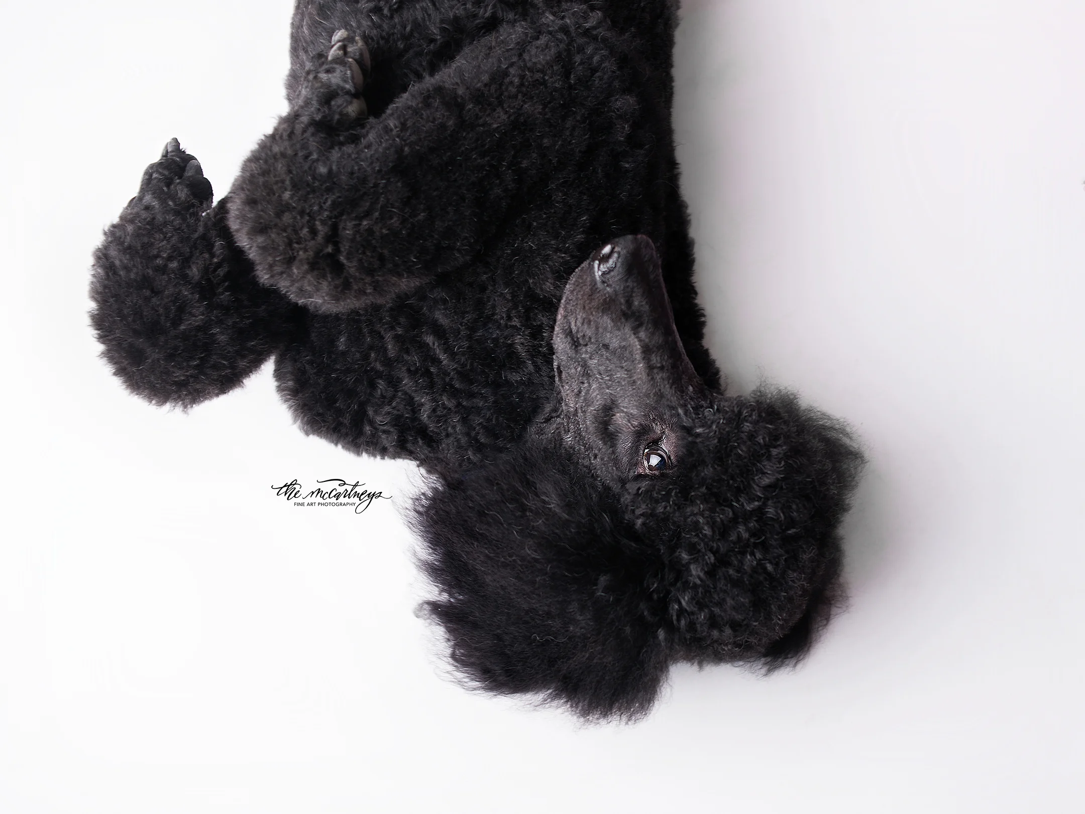 DSC_0073-web.jpg