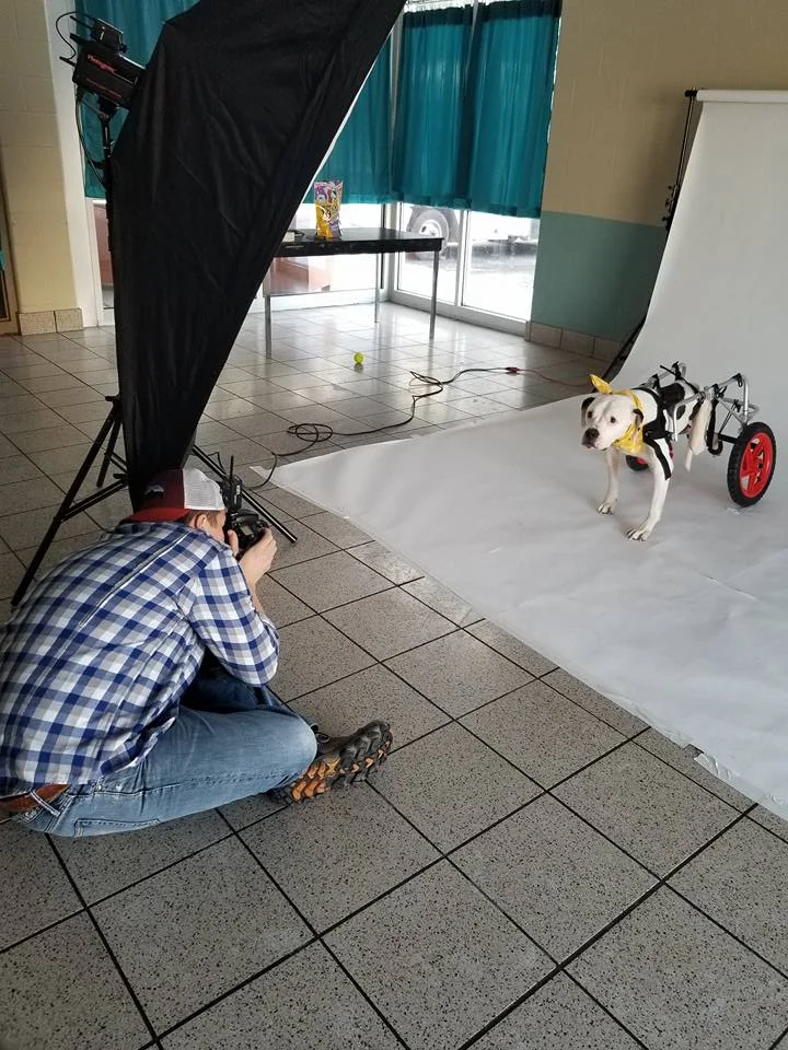 butch photographing dogs.jpg