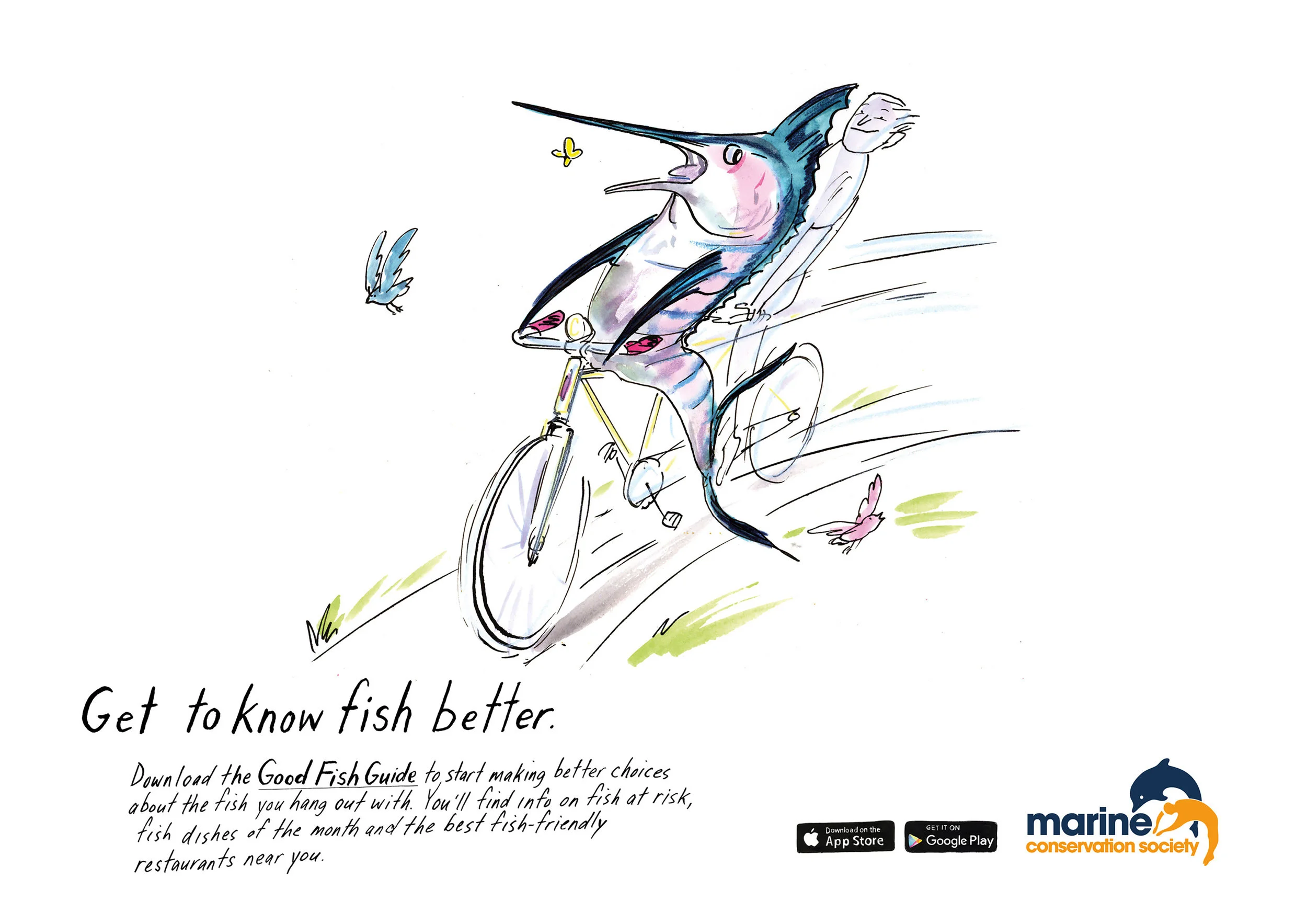 MCS_Fishbetter2_High.jpg