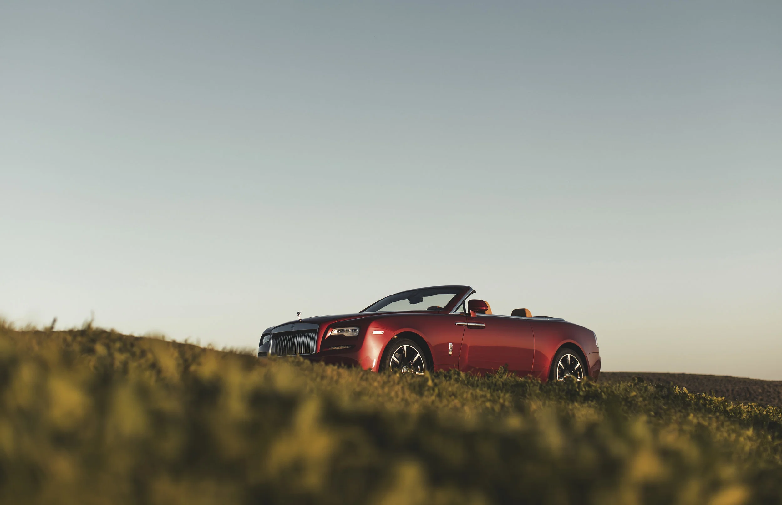 RR_DAWN_RED_03213_C_Cropped.jpg