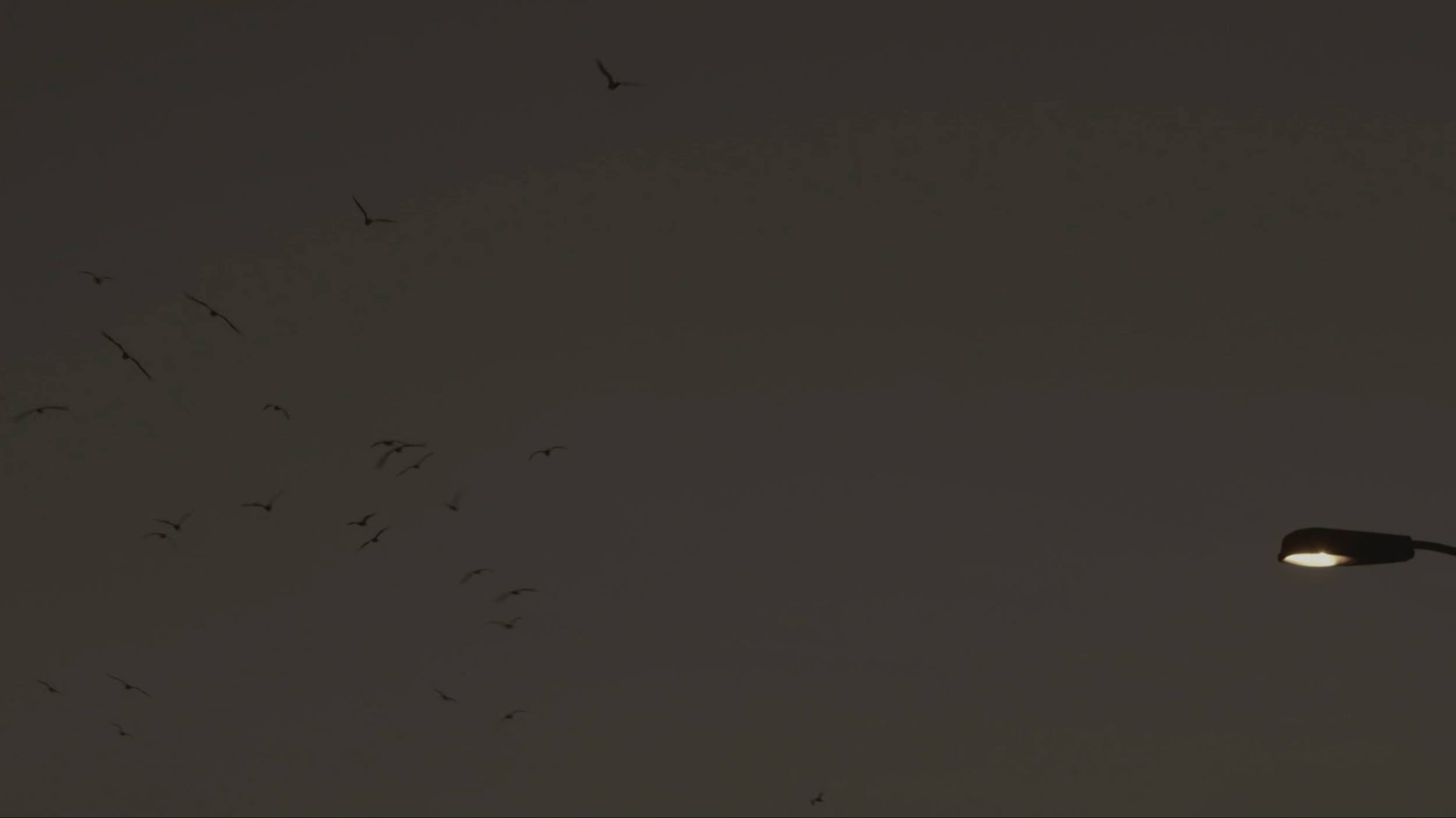 Screen Shot 2018-02-05 at 18.27.13.png