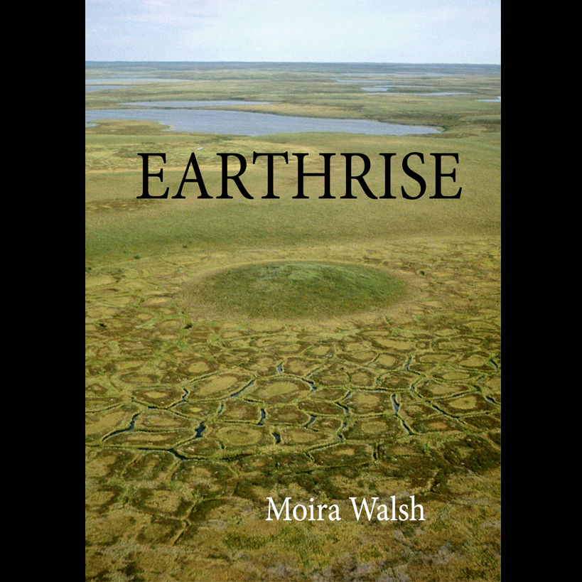 Earthrise - Moira Walsh