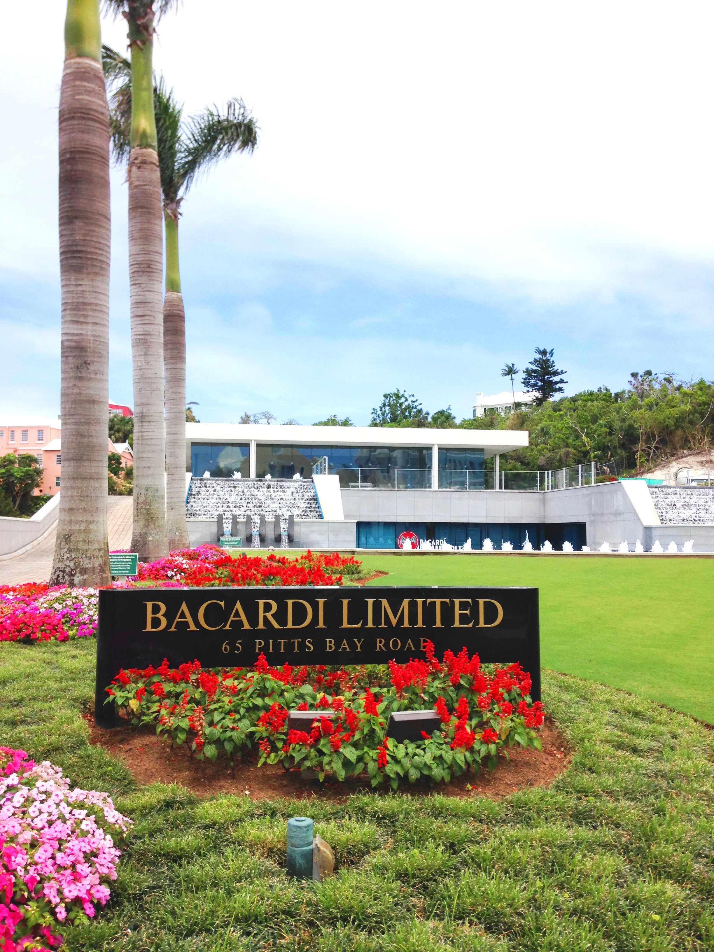 Bermuda_Bacardi.jpg