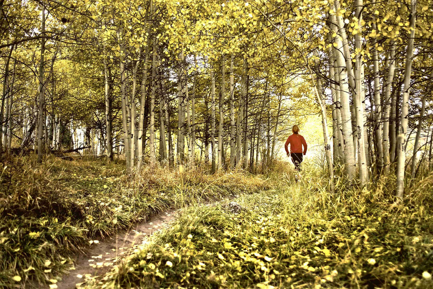 301_1running_wilz_l8z4659_v3.jpg