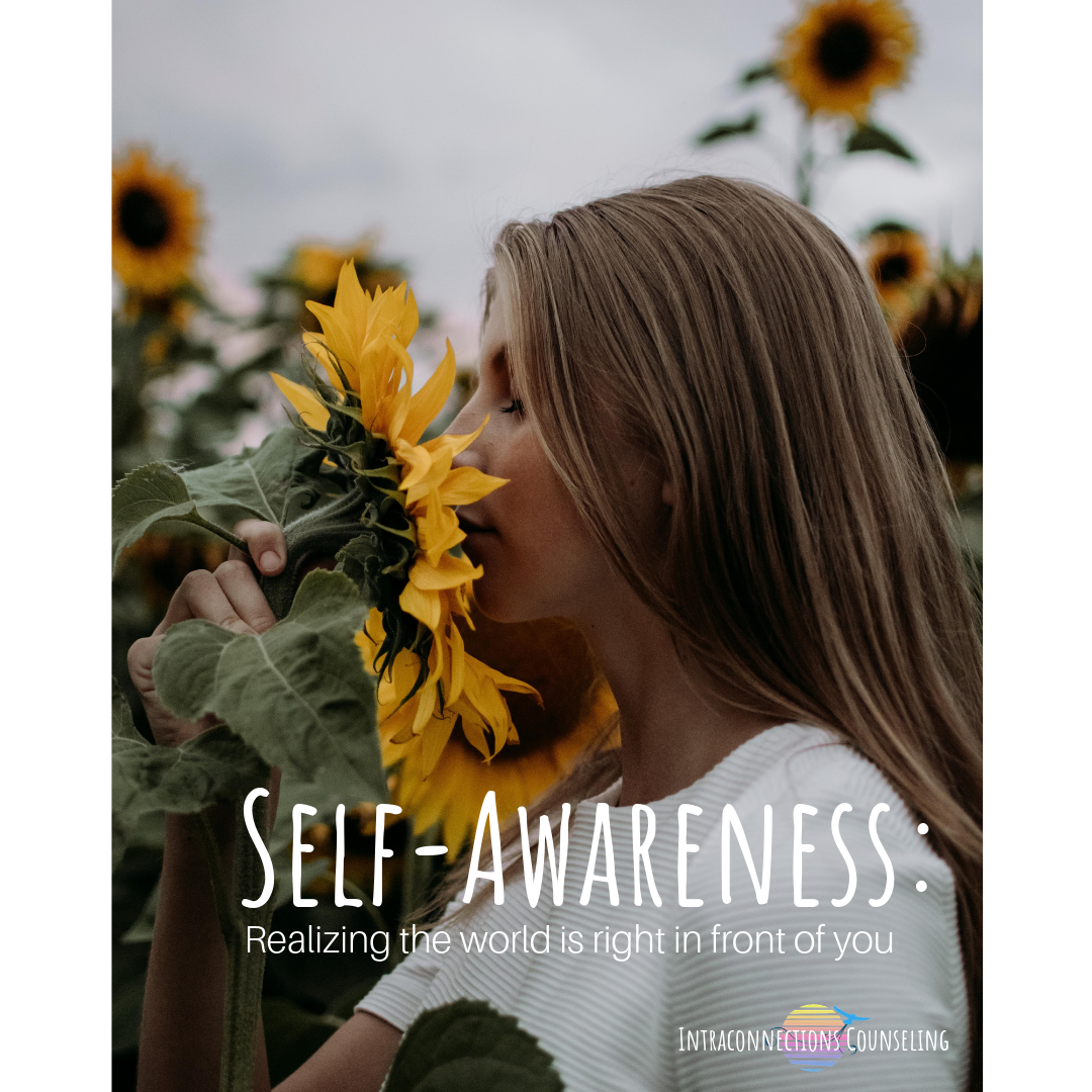 Visualizing Self Awareness Intraconnections Counseling Visualizing Self Awareness Intraconnections Counseling