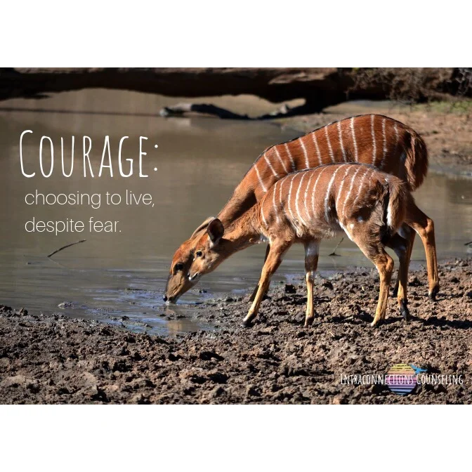 Visualizing Courage
