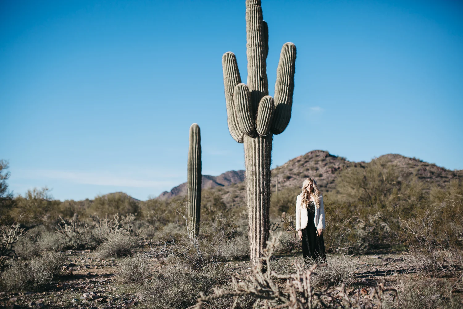 mcdowell-sonoran-preserve-phoenix-arizona-editorial-photographer-free-people-10.jpg