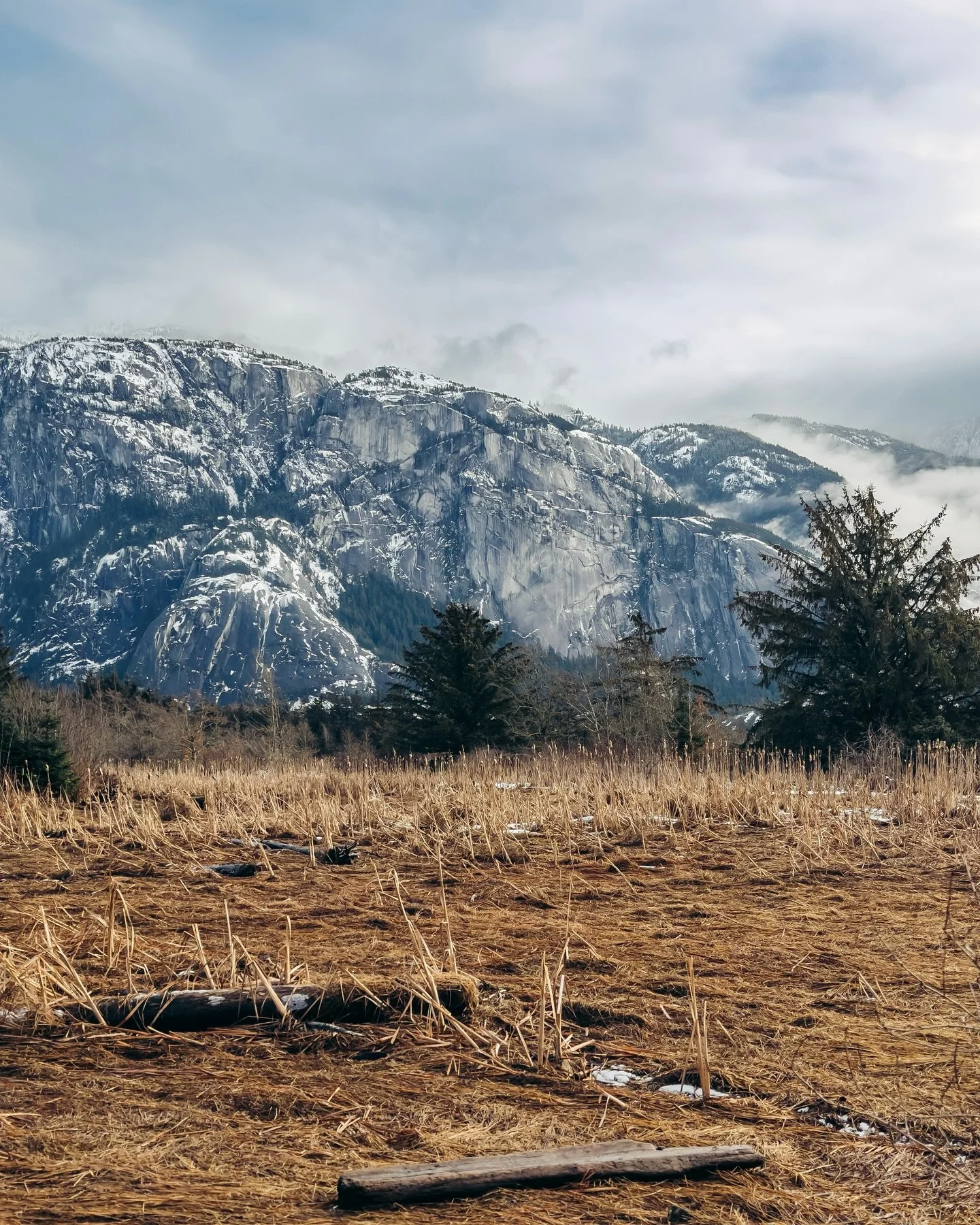 A journey back to nature! 📍Sḵwx̱w&uacute;7mesh, BC 🏔️

As a small-town girl from Prince Rupert, BC&hellip; I always knew I wanted to get out of the city and back into nature.  After a decade spent building my life and business in Vancouver, my part