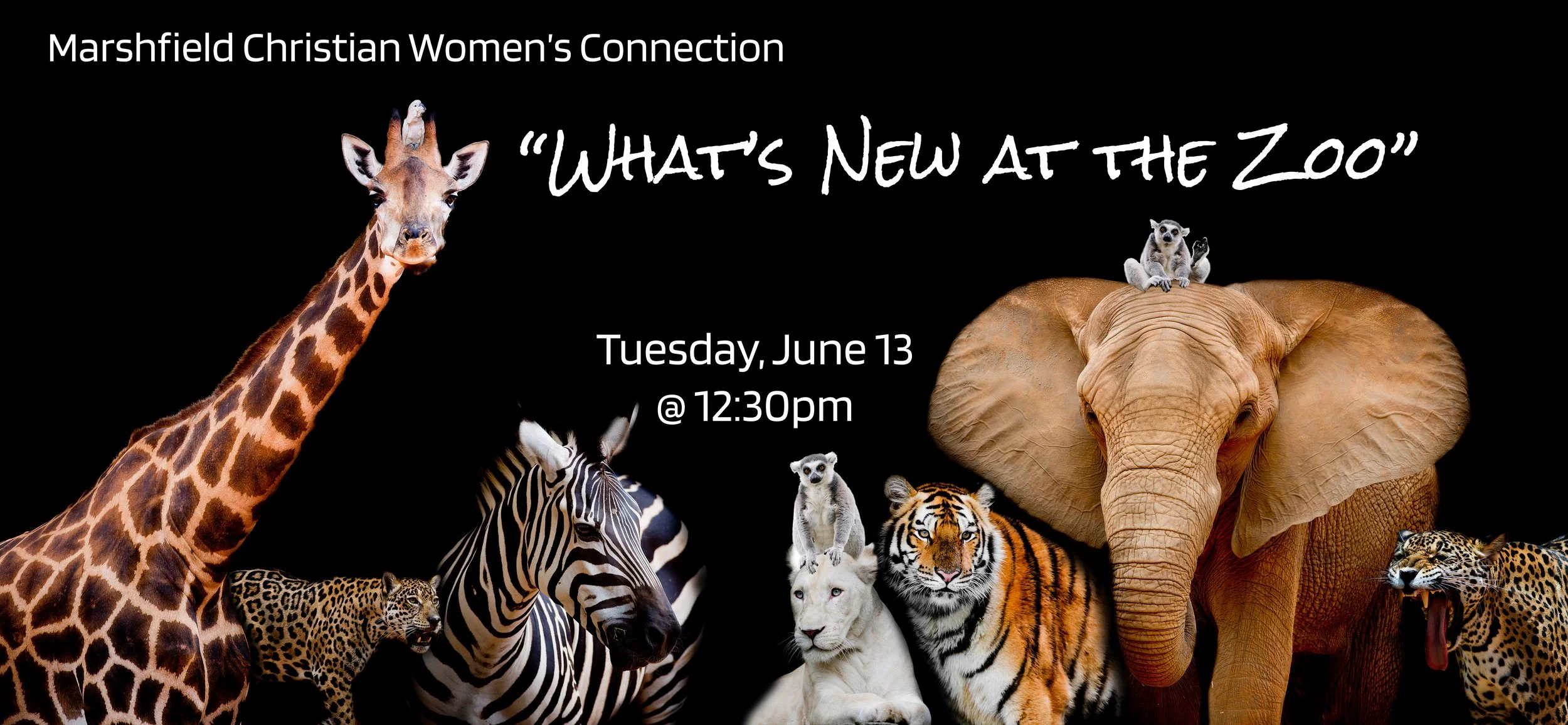 "What's New at the Zoo" - Marshfield Christian Women's Connection - June 13th