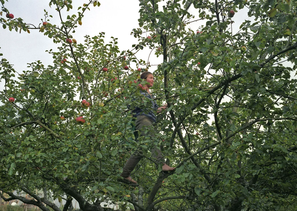 04. Apple Picking.jpg