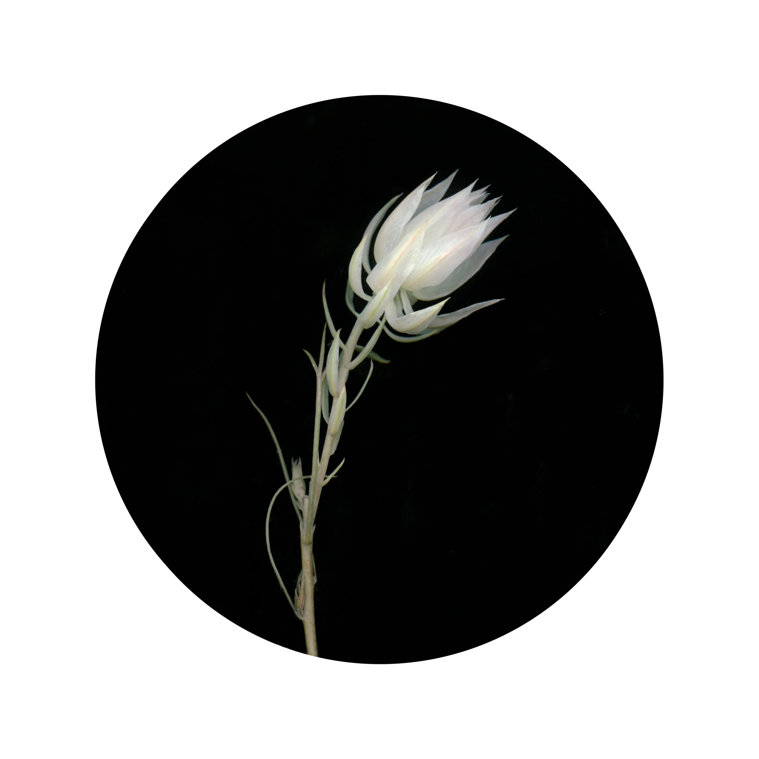 Unidentified.jpg
