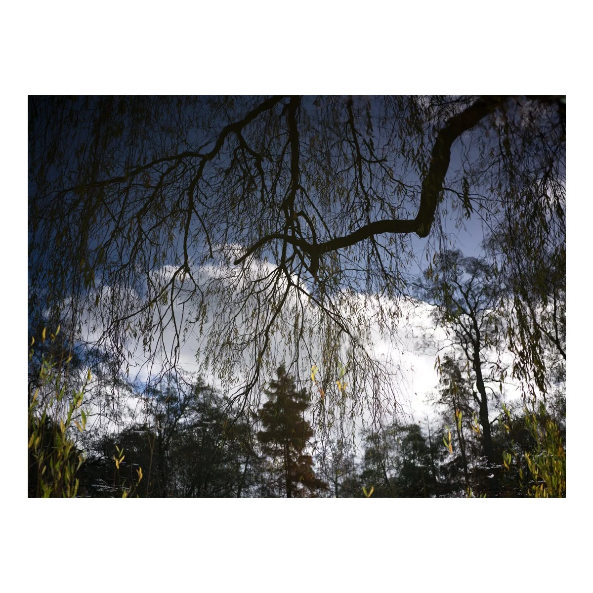 Reflection in pools at Bodnant Gardens 