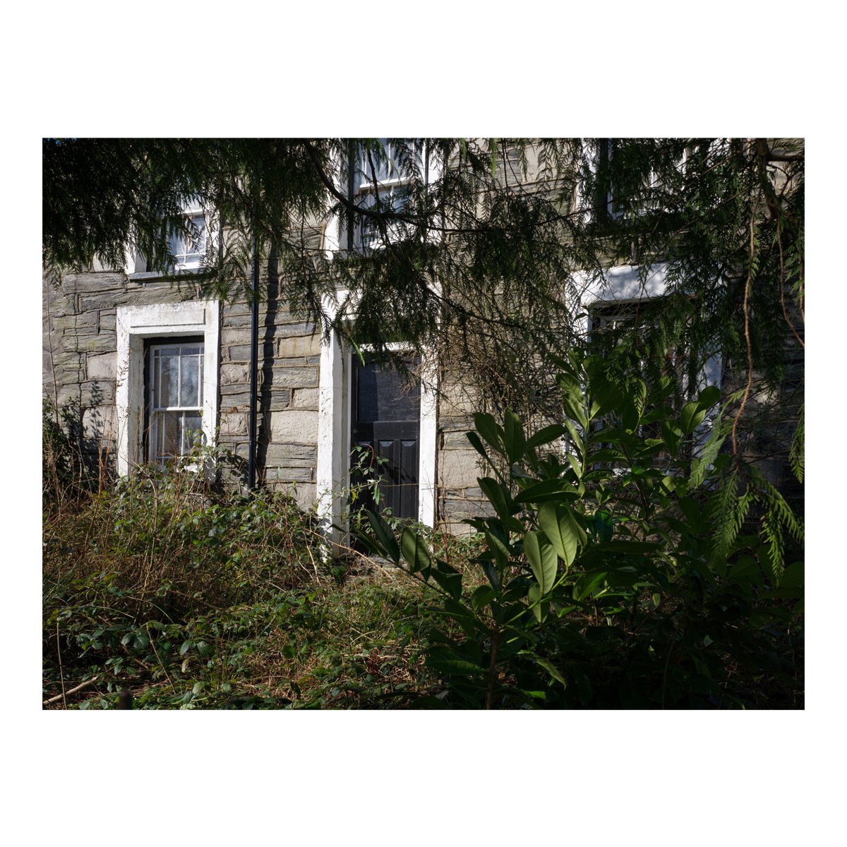 secret garden.jpg