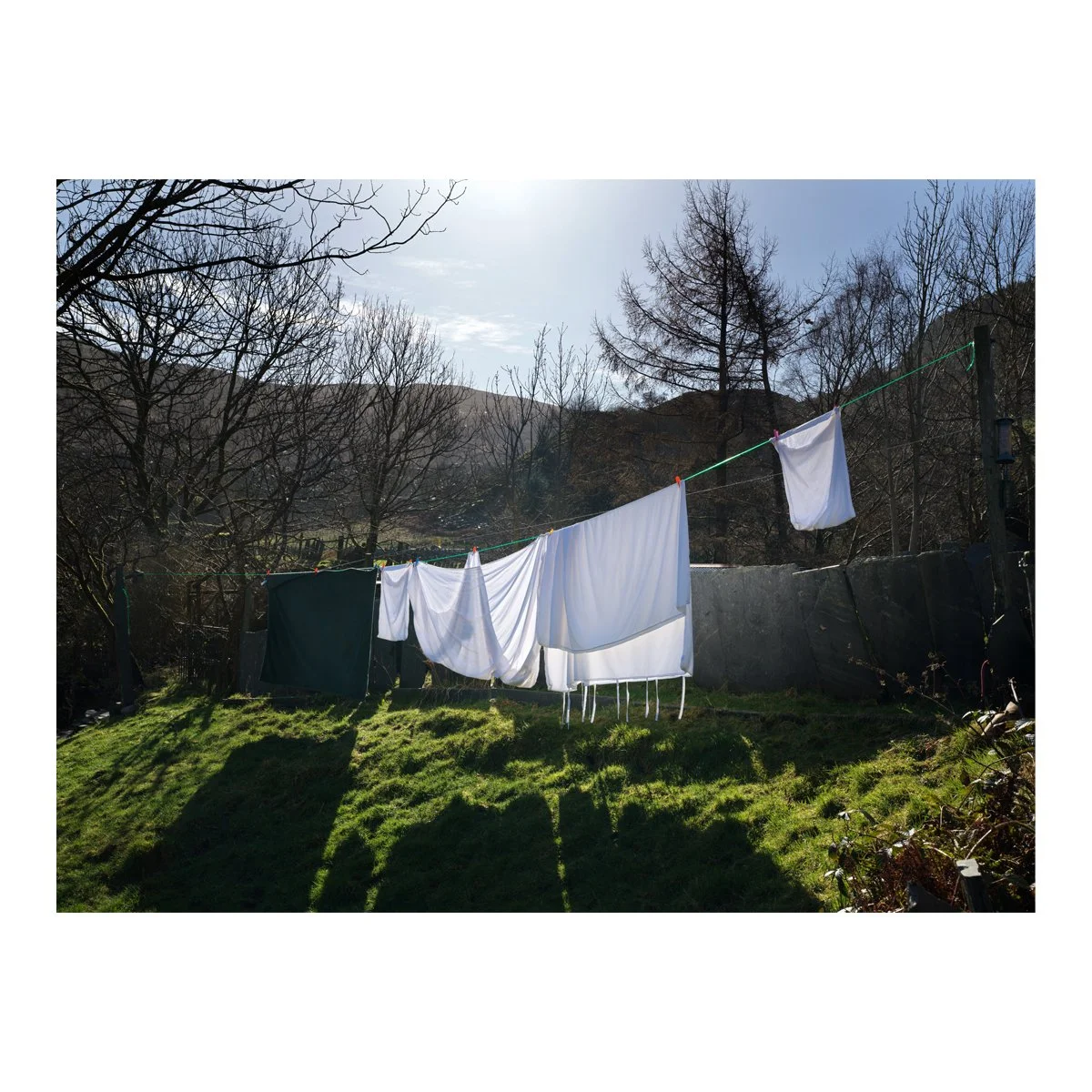 washing line .jpg