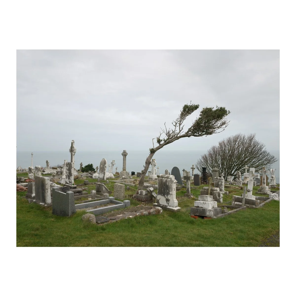 graveyard.jpg