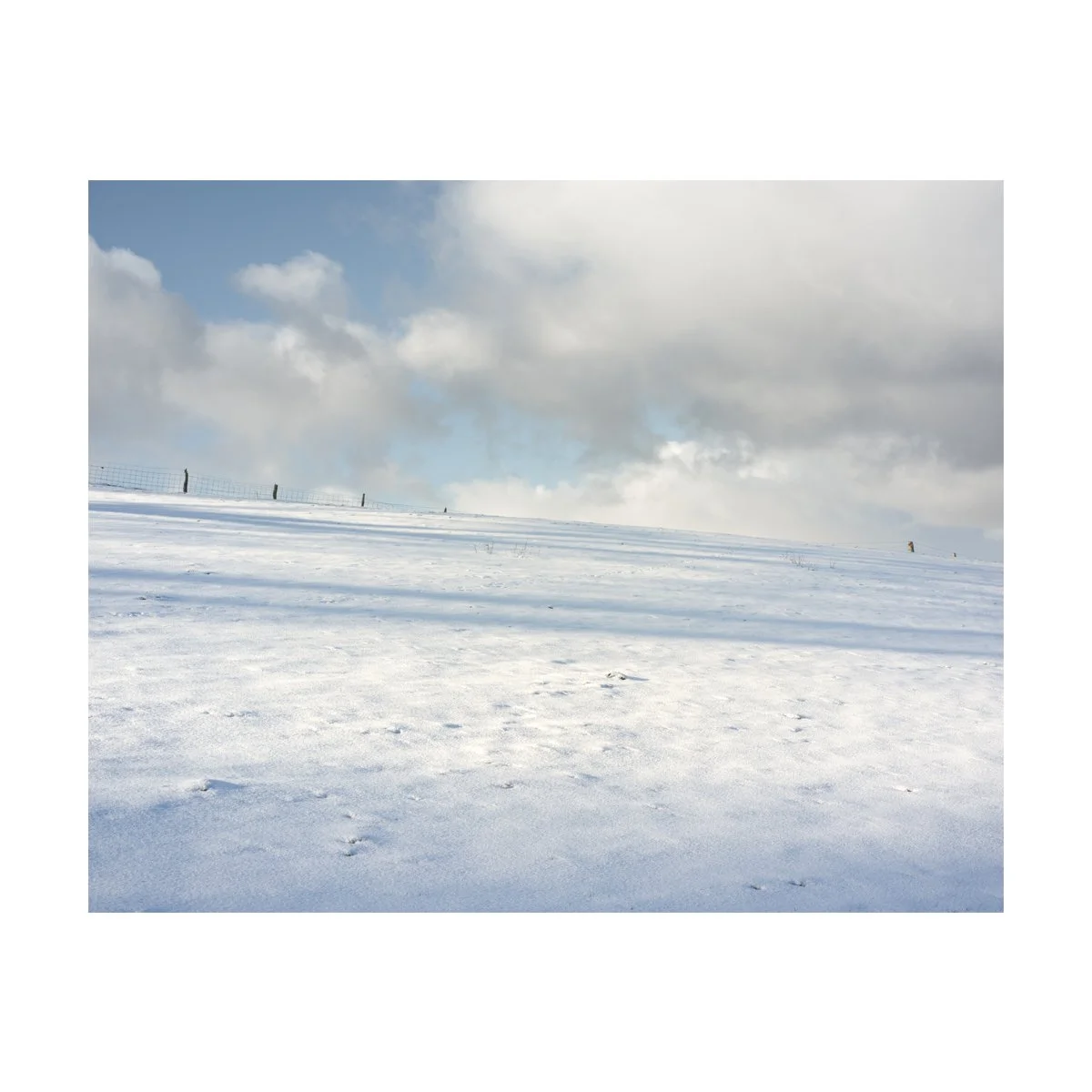 Snow.jpg