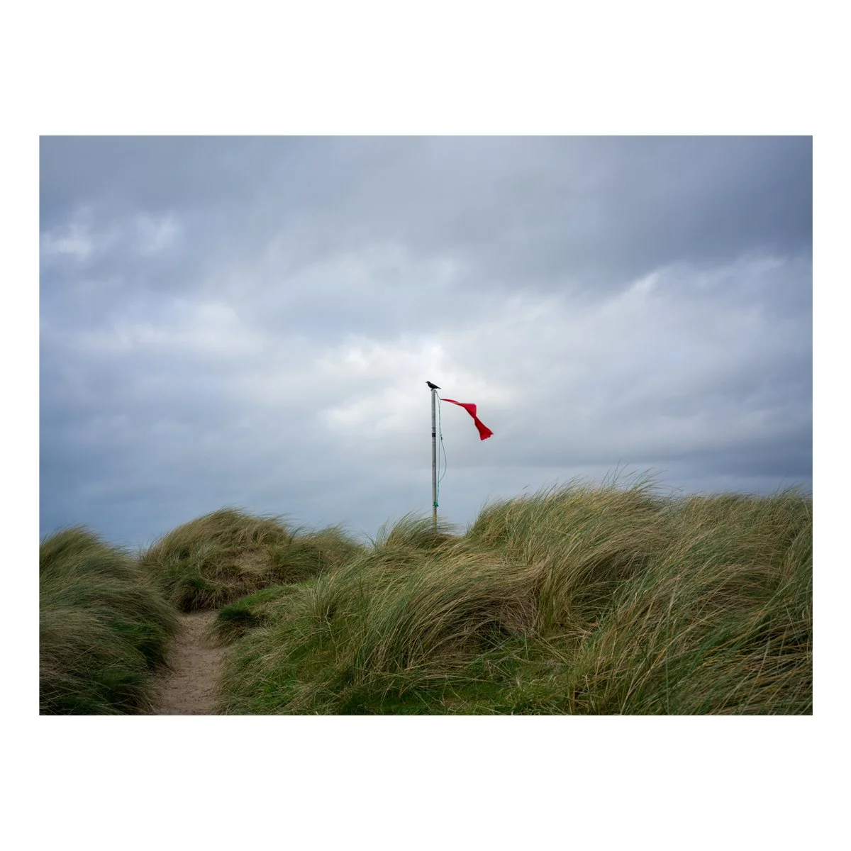 red_flag_and_Crow.jpg