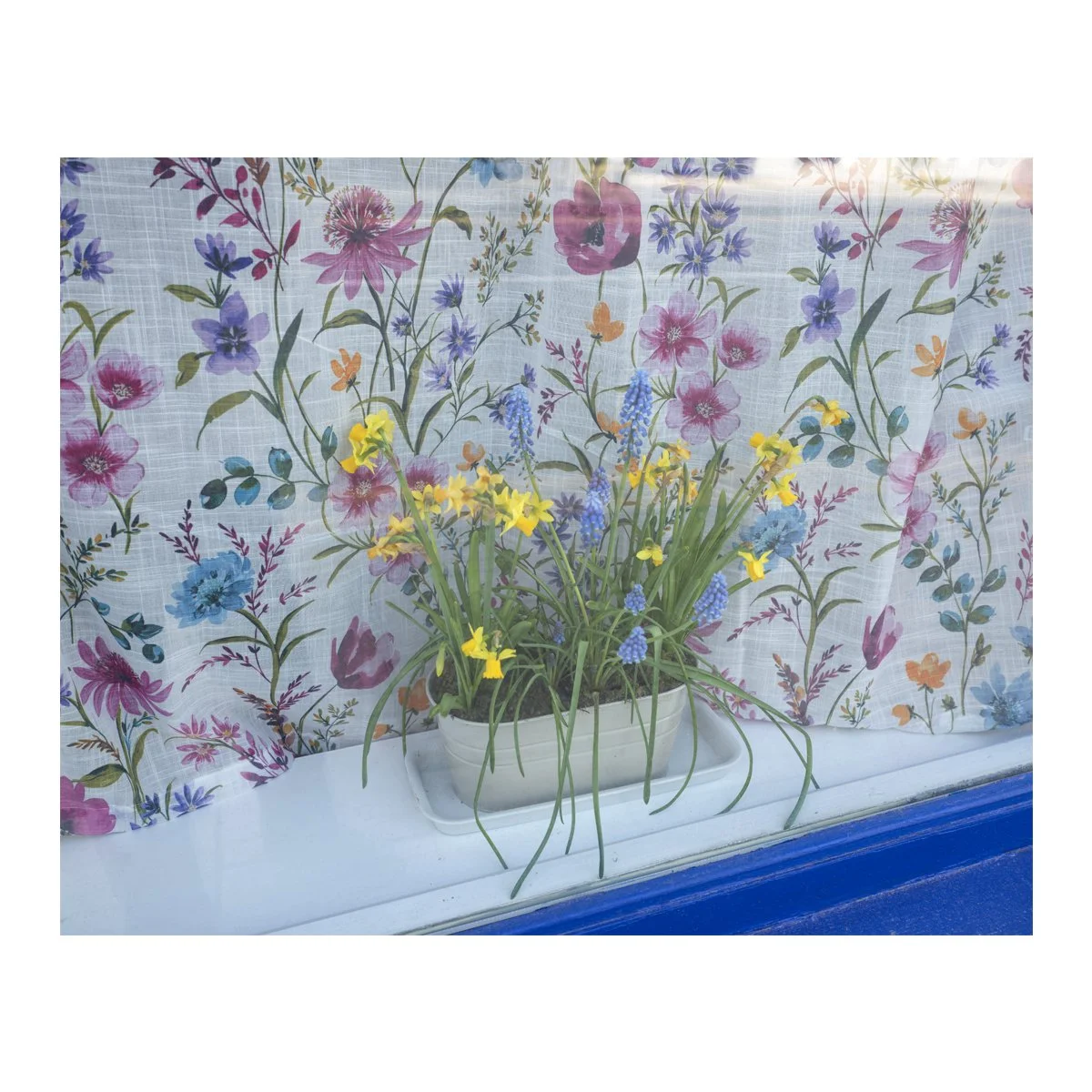 Flowers.jpg