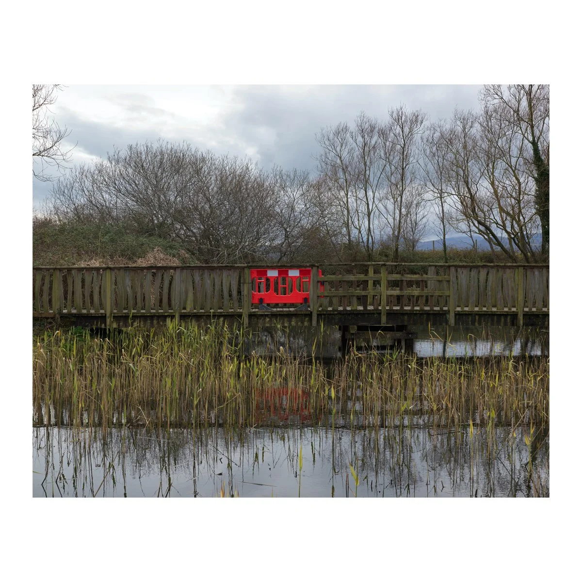 rspb_bridge.jpg