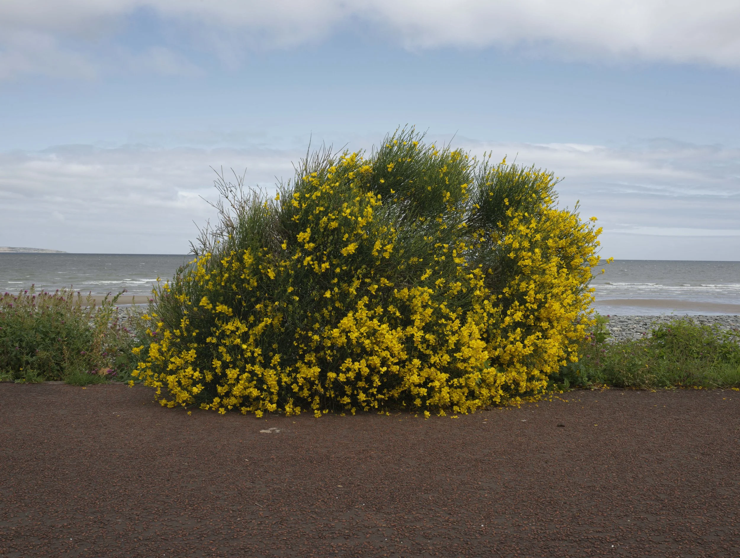 Penmaenmawr