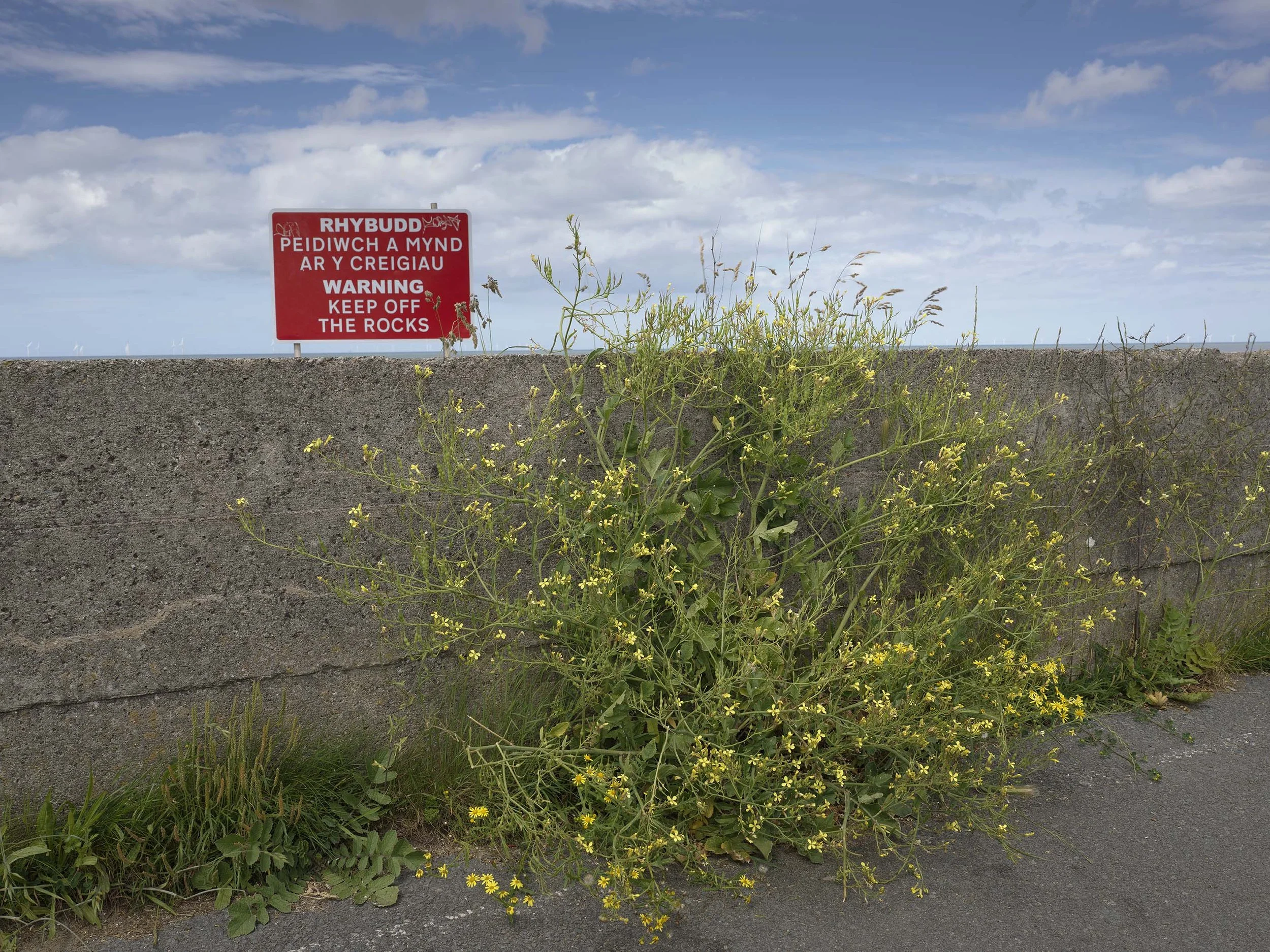 Pensarn