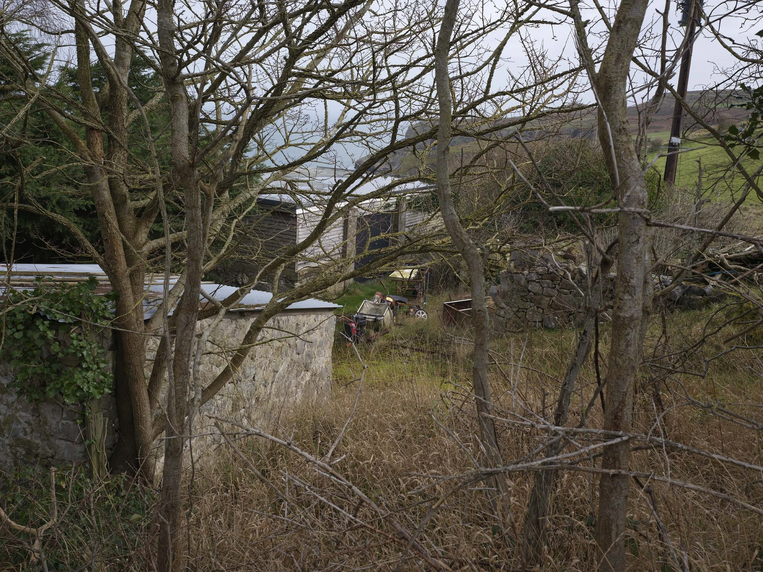 B_2344.jpg