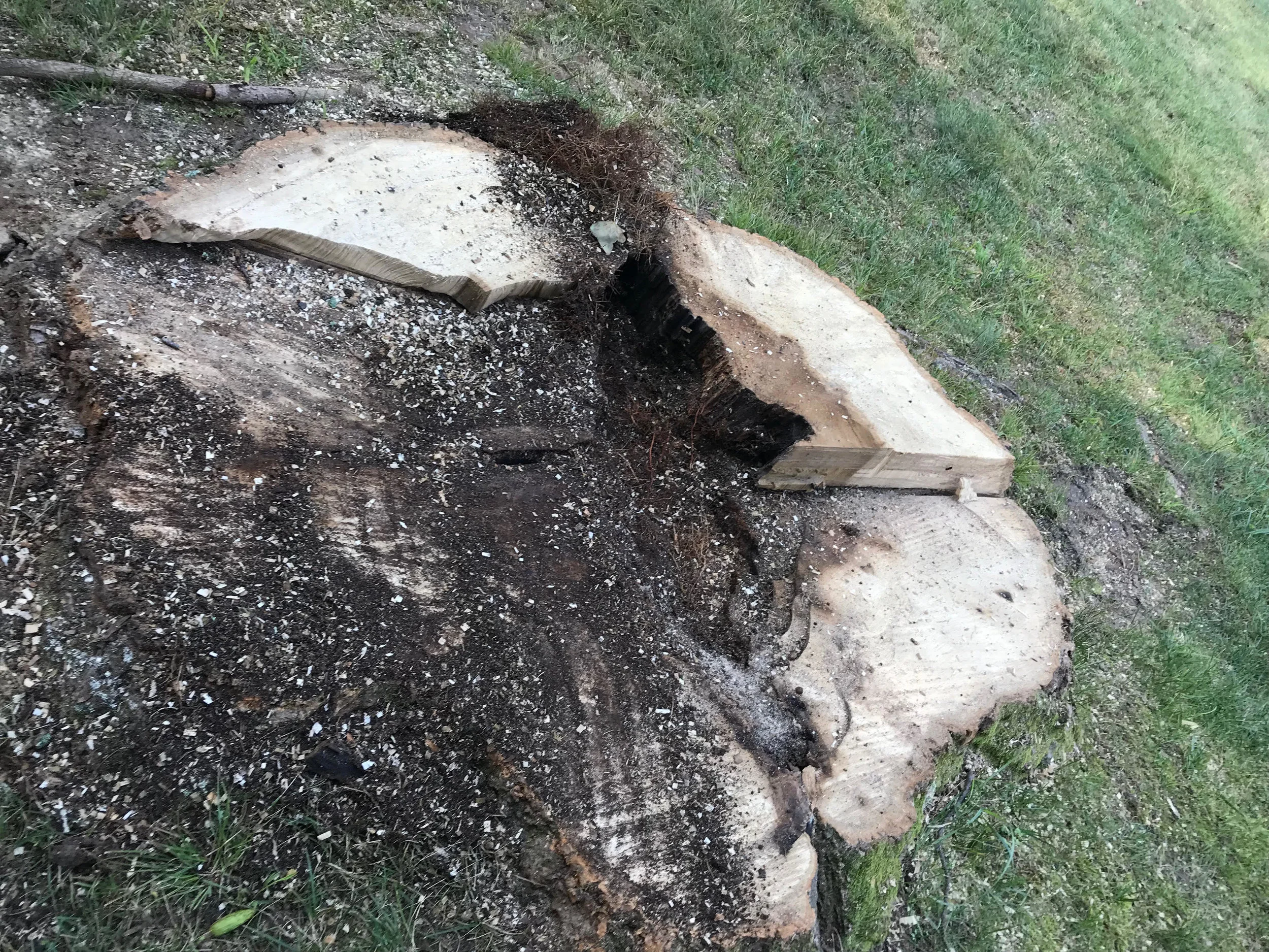 Stump Grinding