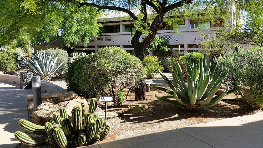 Discovery - Phoenix, AZ