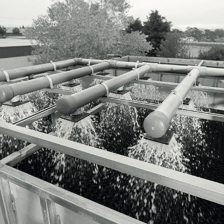 Cloacina Wet Testing.jpg