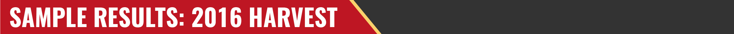 web-header-RBG-2-05-05.jpg