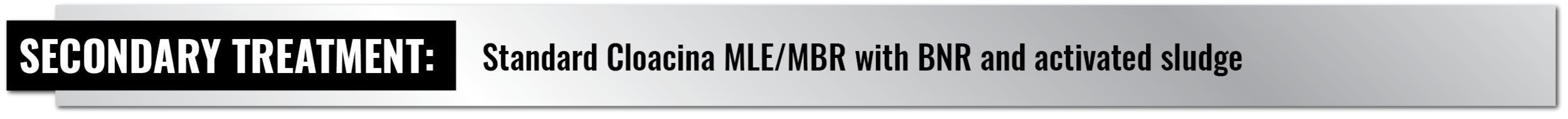 Case Study Web Template-34.png