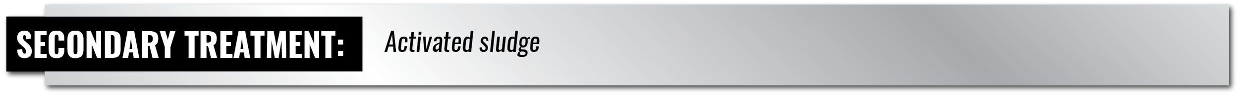 Case Study Web Template-2-35.png