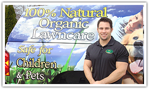 Owner, Tim Wiesmore