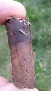 Aeration.jpg
