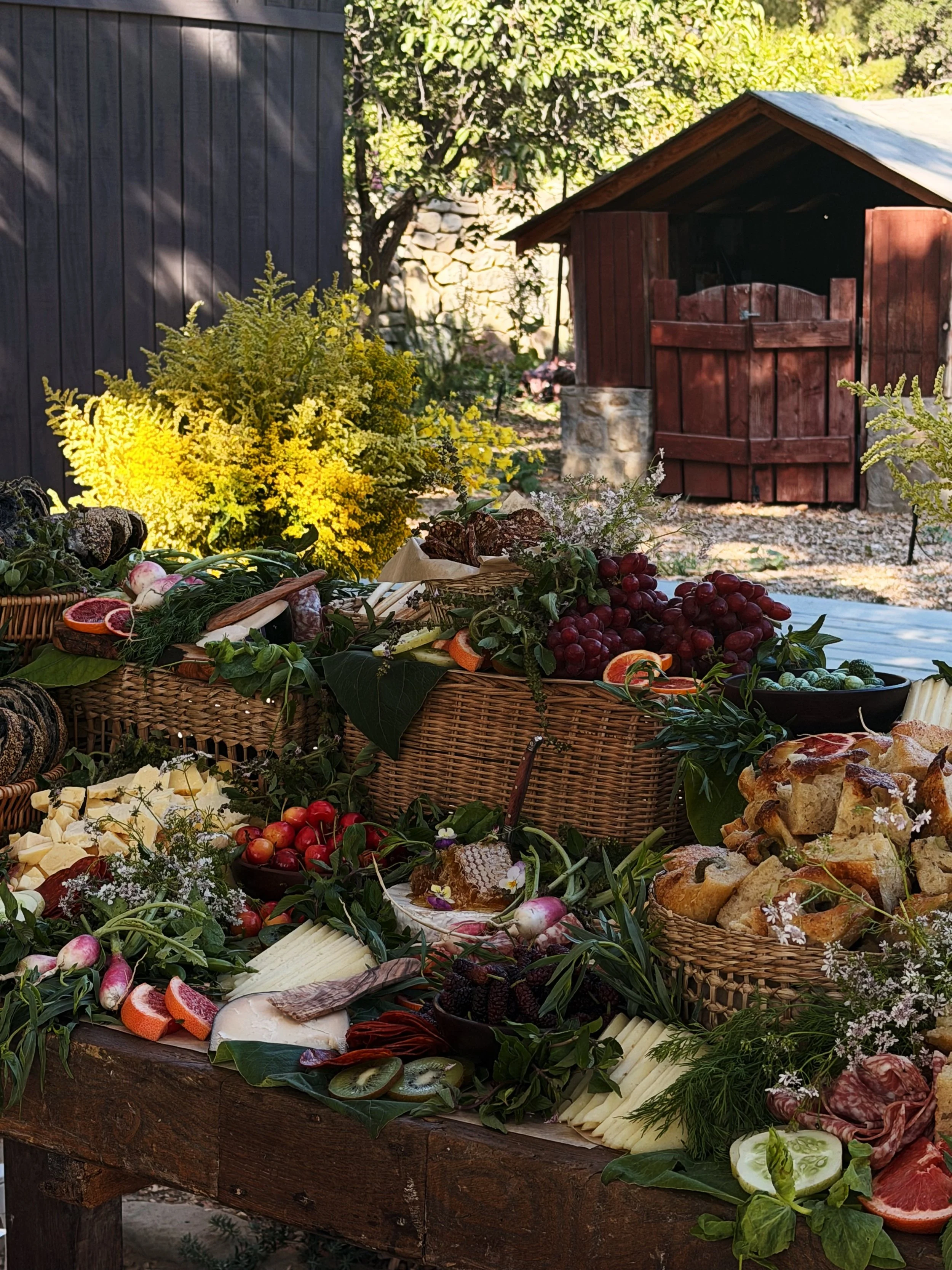 IMG_9411_VSCO.JPG