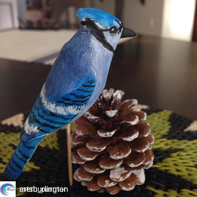 @Regranned from @artsburlington Arts Burlington -  @Regranned from @meru_parmar Meru Parmar -  #bluejays #woodcarving #sculptorsandwoodcarvers #Christmas ornament carved and painted at AGB with the woodcarvers guild #knife #ornaments  @sculptorsandwo