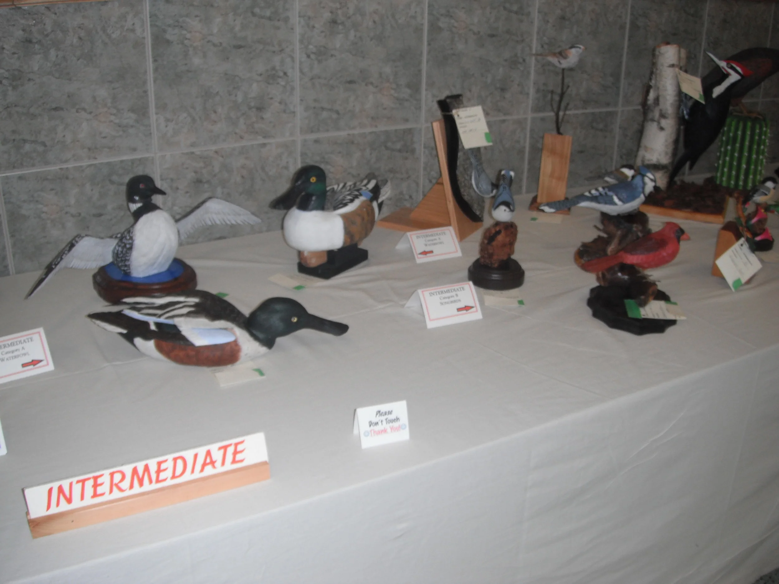 Niagara Wood Show 2011 005.JPG