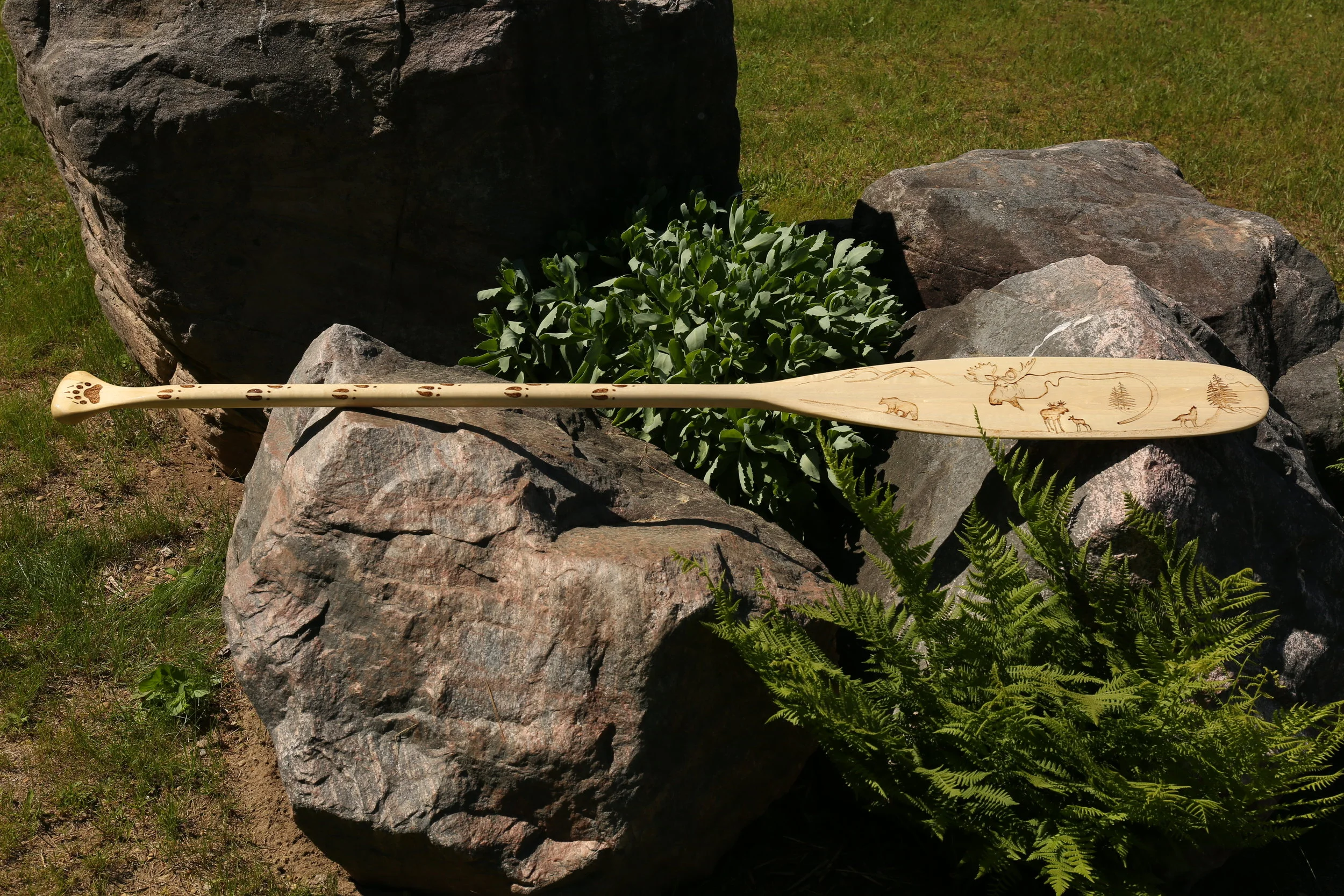 algonquin paddle-2.JPG