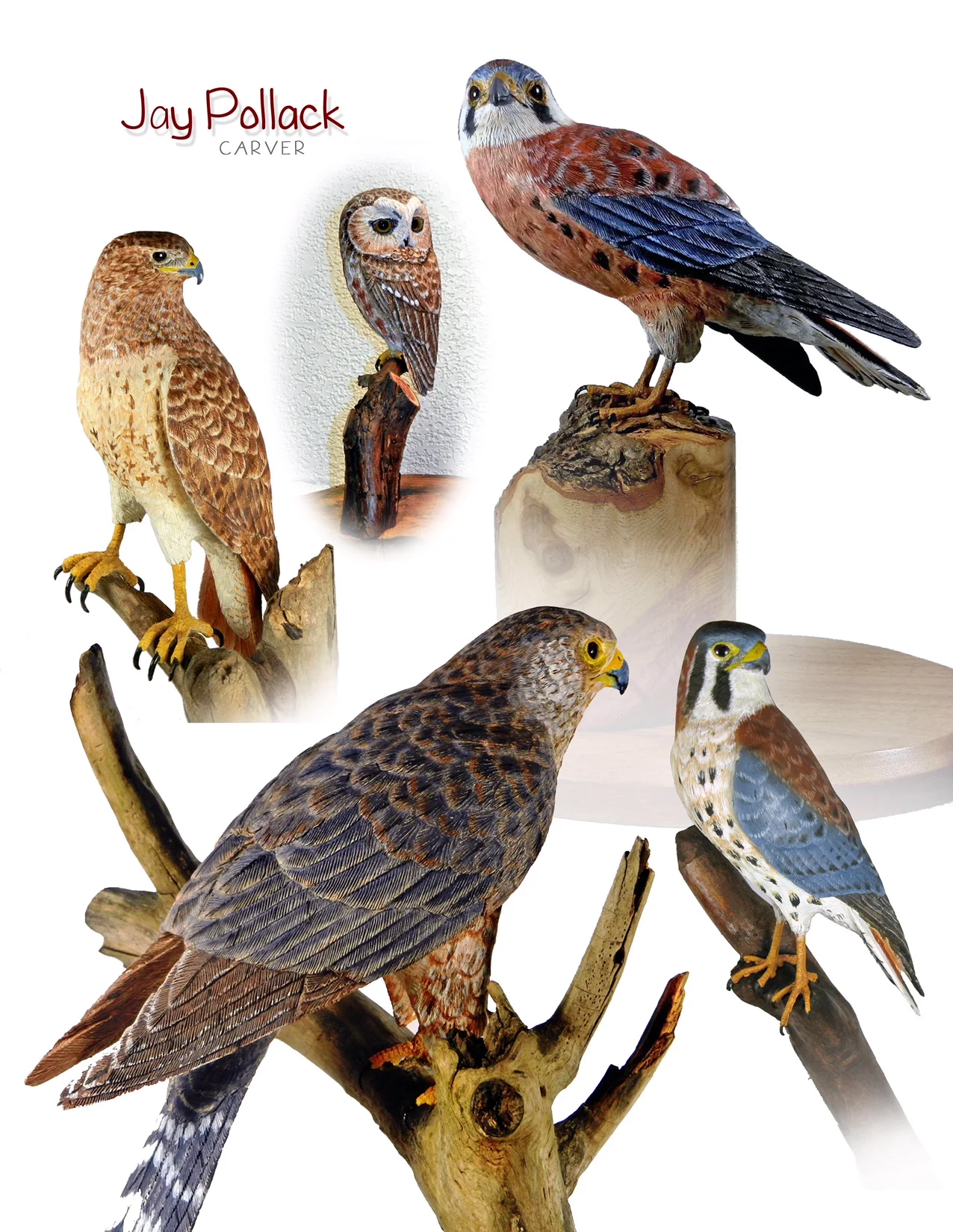 Jay Pollack - 01.JPG