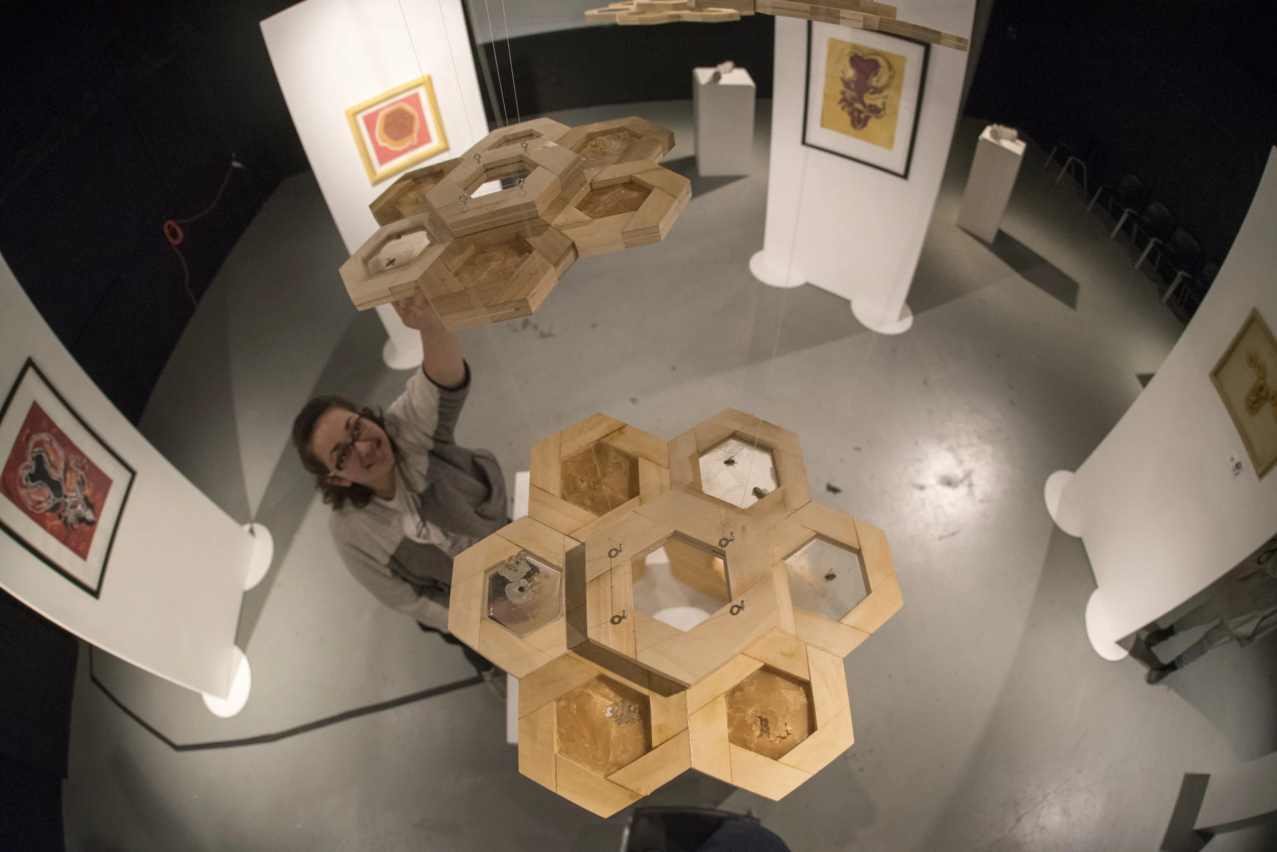 Oxytocin Exhibition 