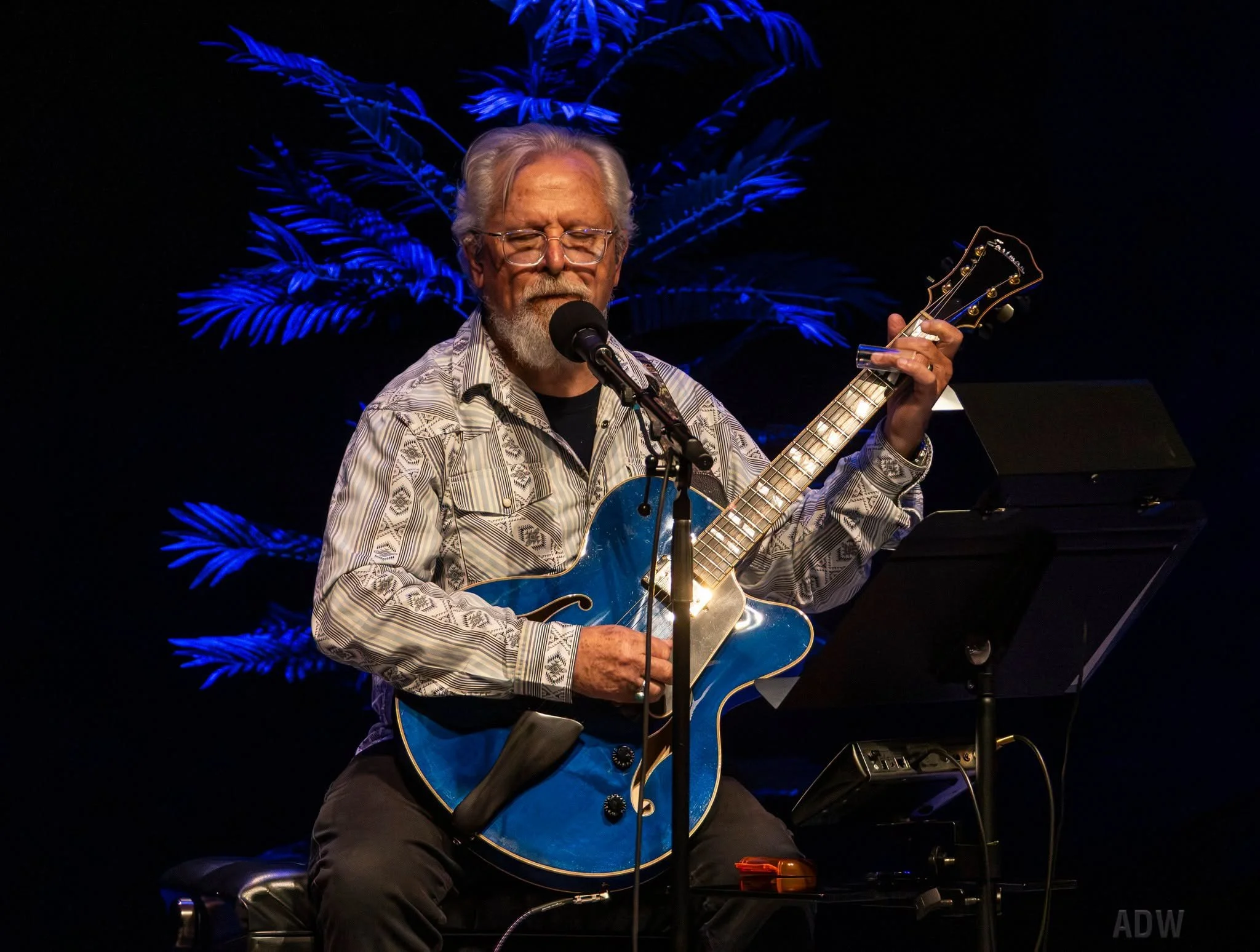 Don Potter Playing at the Theater.png