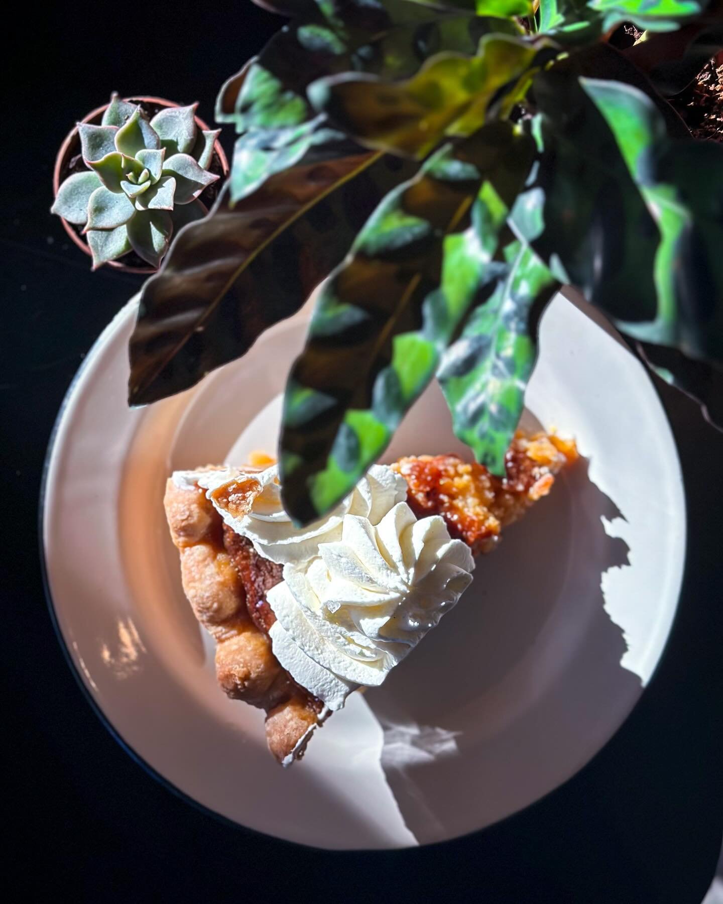 BUTTERCUP IS BACK 
We are beyond excited to announce that we will be working more intimately with @buttercupmilwaukee YEAR ROUND! This means... 
💐 weekly flower deliveries from @karthauser1 (tulips for now, look forward to other varieties in the fut