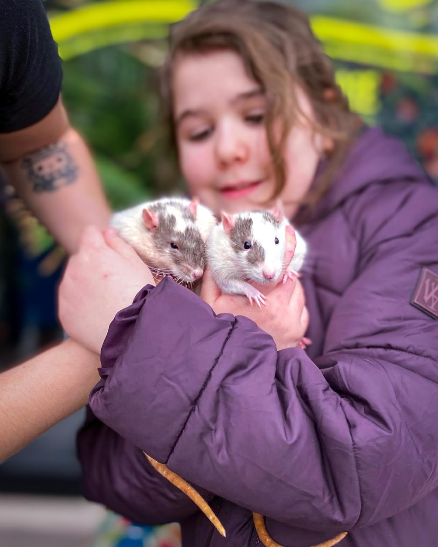 Oh, RATS!

While we are visited by a lot of dogs, we welcome friends of ALL shapes and sizes! 

Introducing our PET(s) OF THE MONTH:
🏆MAC &amp; CHEESE🏅

These little goofballs are just as loving as their owners and we are lucky to have met them! 
C