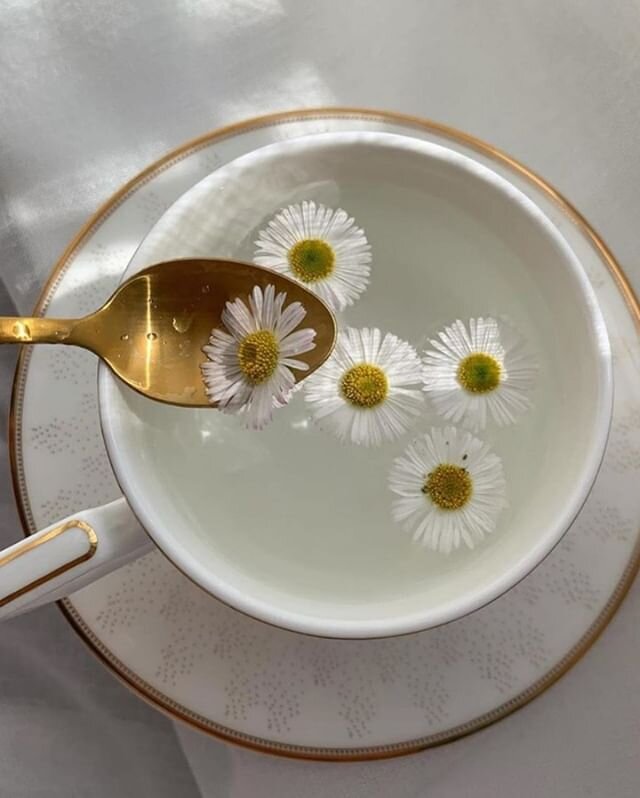 A cup of tea and some me time is good for the soul 🌸🍵⠀⠀⠀⠀⠀⠀⠀⠀⠀
⠀⠀⠀⠀⠀⠀⠀⠀⠀
Via @theshine⠀⠀⠀⠀⠀⠀⠀⠀⠀
📷: @musicforheart
