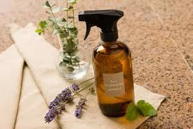 Spring Cleaning Class