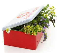 Be Prepared to Help: Herbal First Aid Kit
