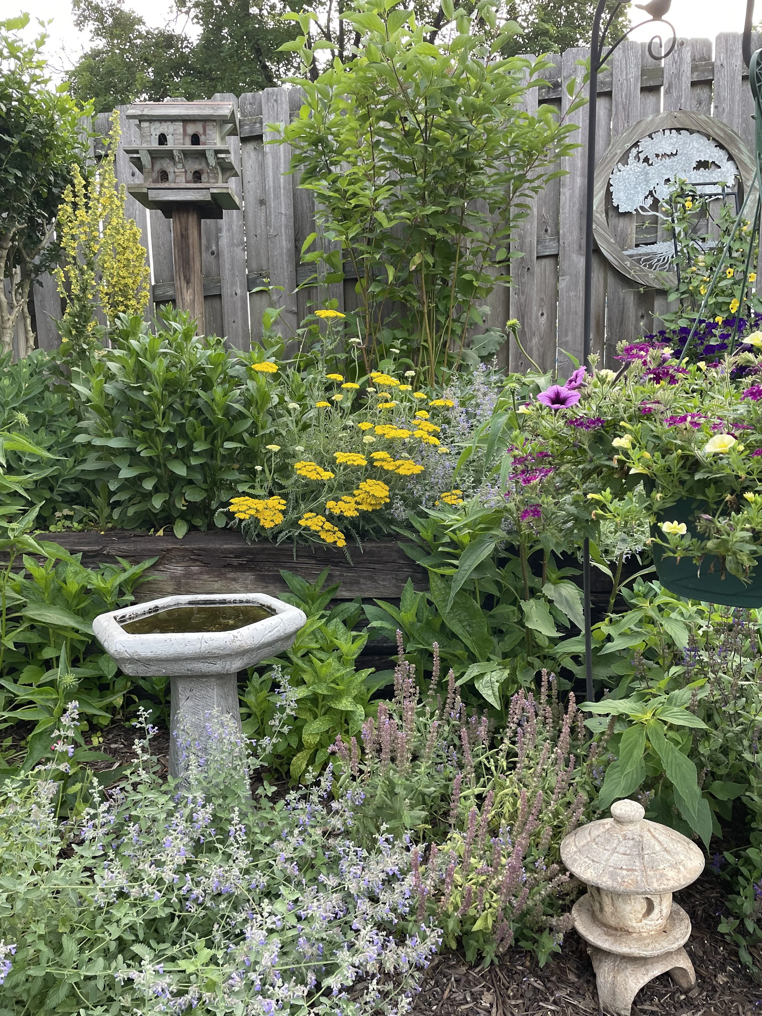 Planning Your Dream Herb 