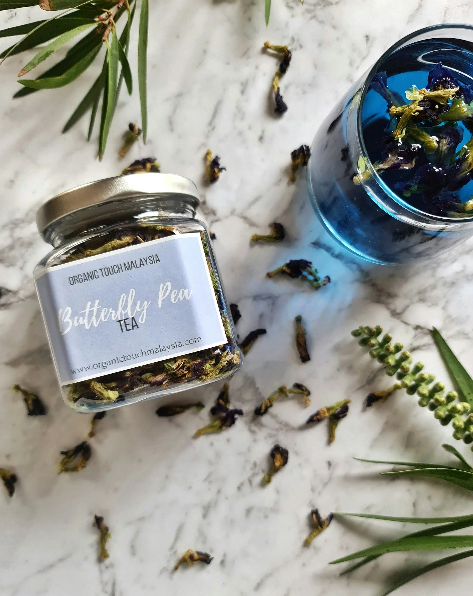 Butterfly Pea Flower Lemonade Refresher