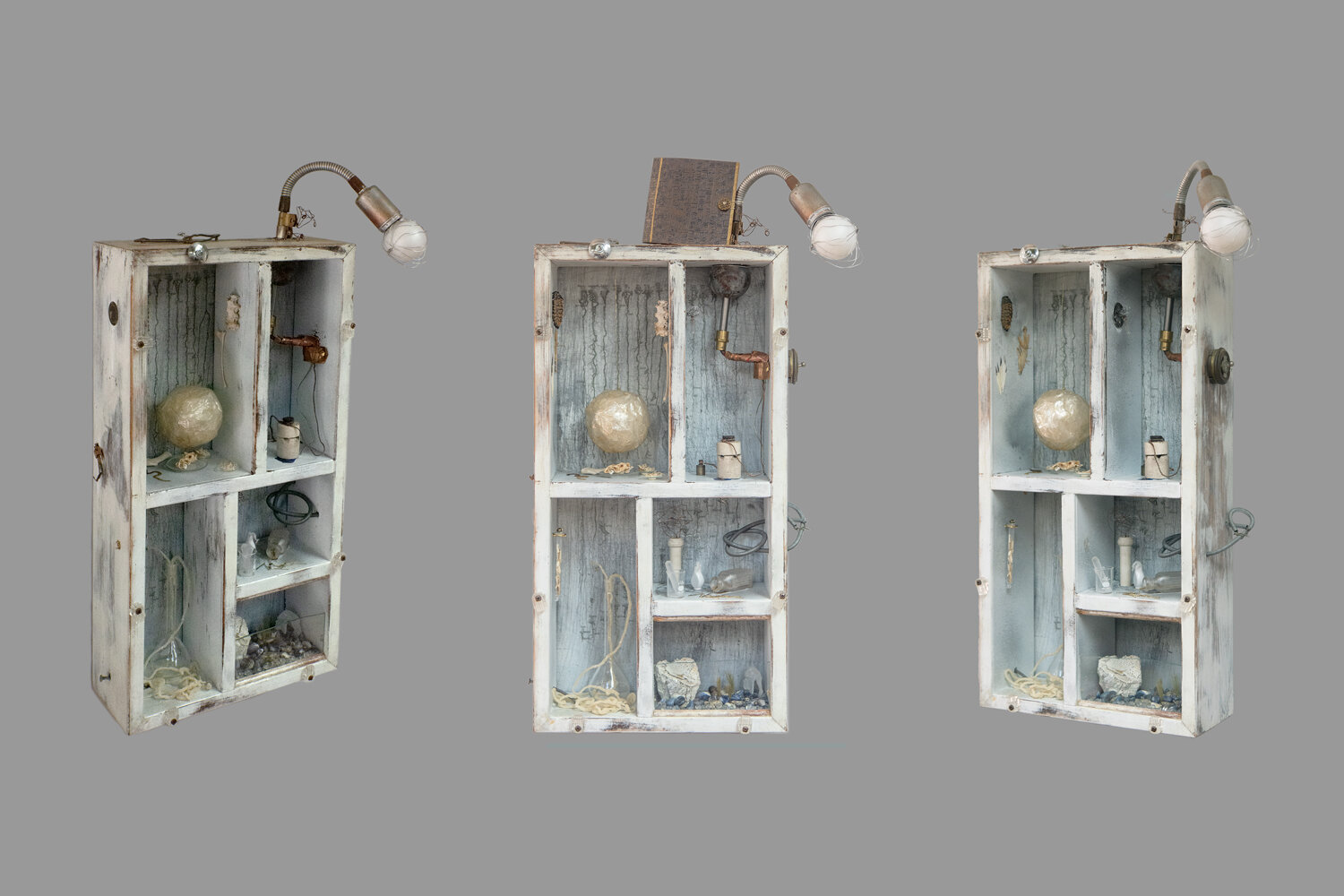 "Cabinet of Curiosities"