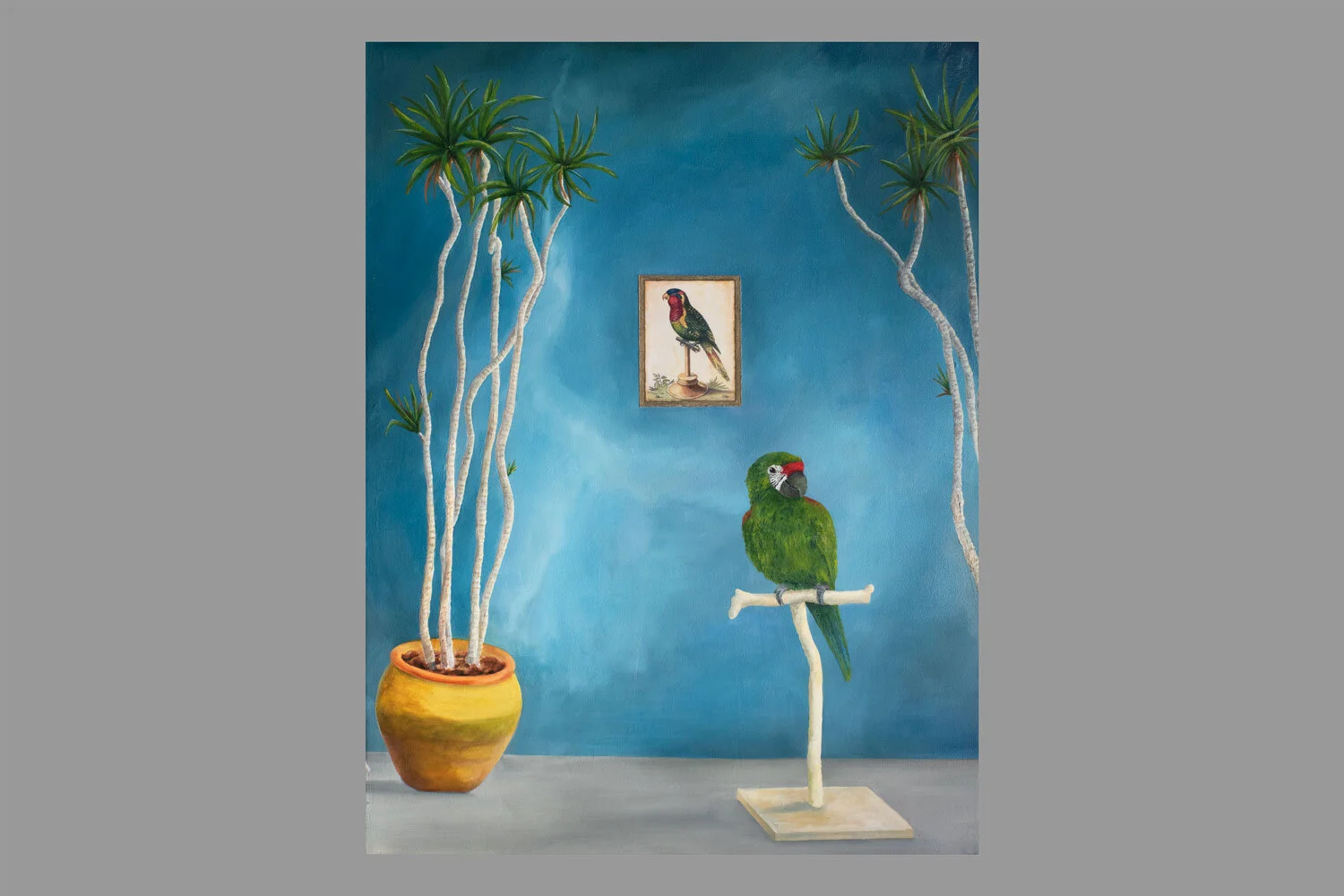 "Parrots Portrait"